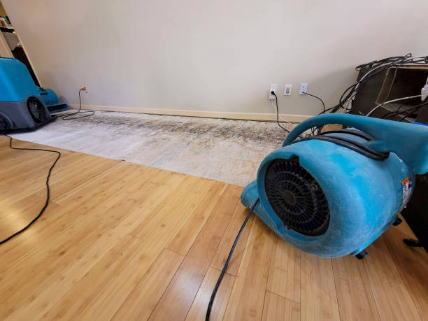 Professional Flood Damage Cleanup technician working in Kensington, CA